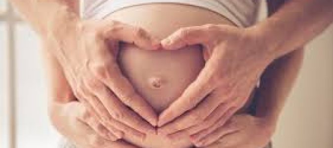 informacion sobre el embarazo
